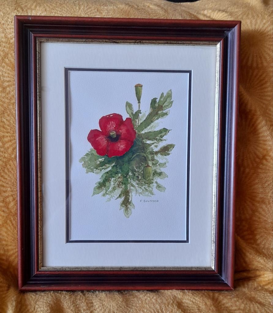 Zeer mooie aquarel van P. Boomsma, gesigneerd. De klaproos, Huis en Inrichting, Ophalen, Zo goed als nieuw