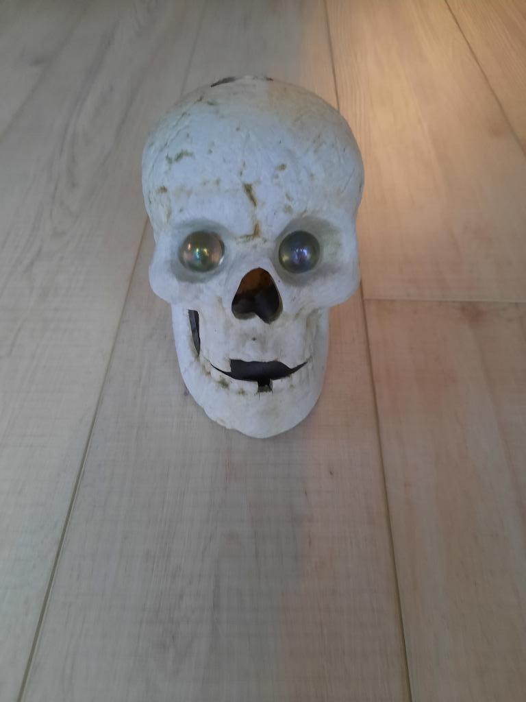 Wit doodshoofd/ doodskop van steen, Ophalen of Verzenden, Gebruikt