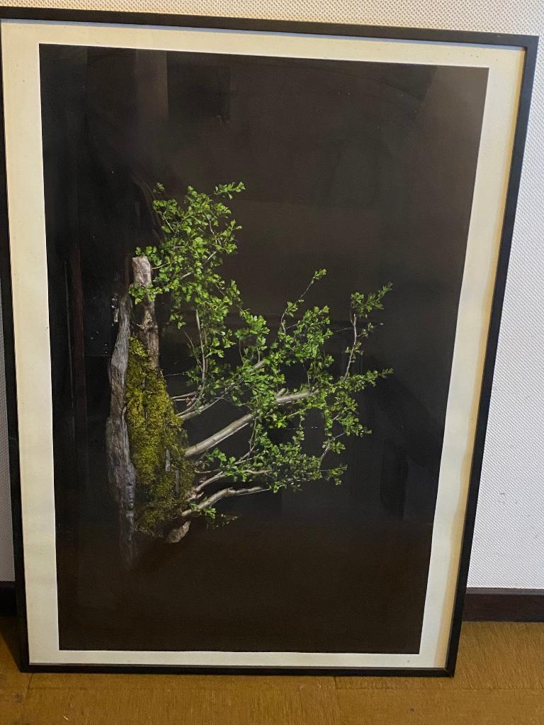 IKEA frame zwart 100 X70 met foto + glas, Audio, Tv en Foto, Fotografie | Fotolijsten, Ophalen, Zo goed als nieuw