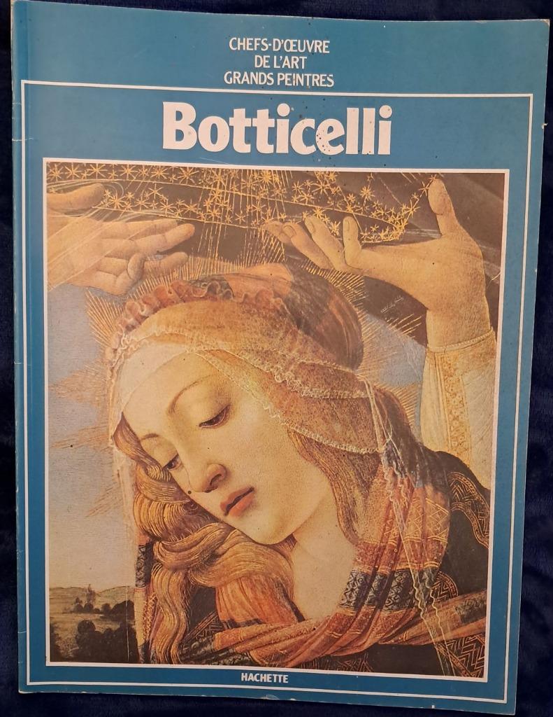 Chefs d'oeuvre de l'art grands peintres - Botticelli 1978, Livres, Enlèvement ou Envoi
