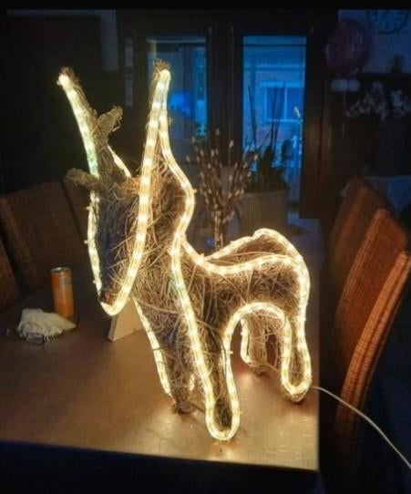 Hertje met verlichting, Enlèvement, Utilisé