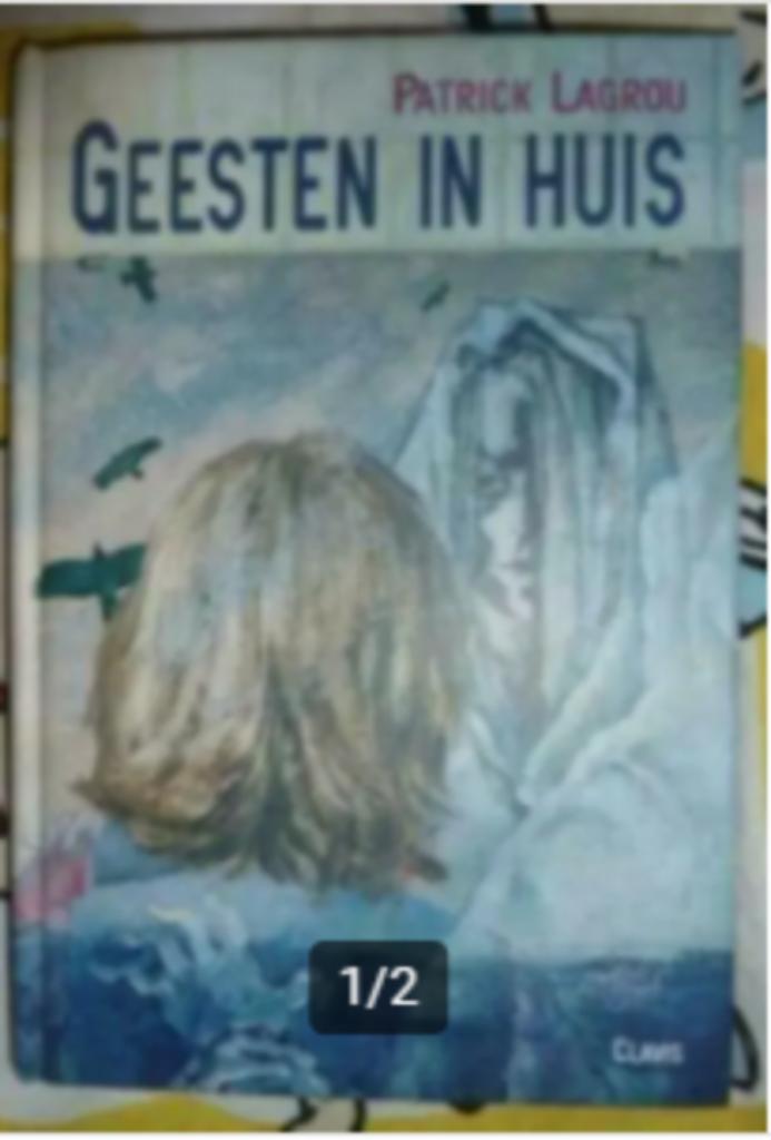 Patrick Lagrou - Geesten in huis, Ophalen of Verzenden, Gelezen, Patrick Lagrou
