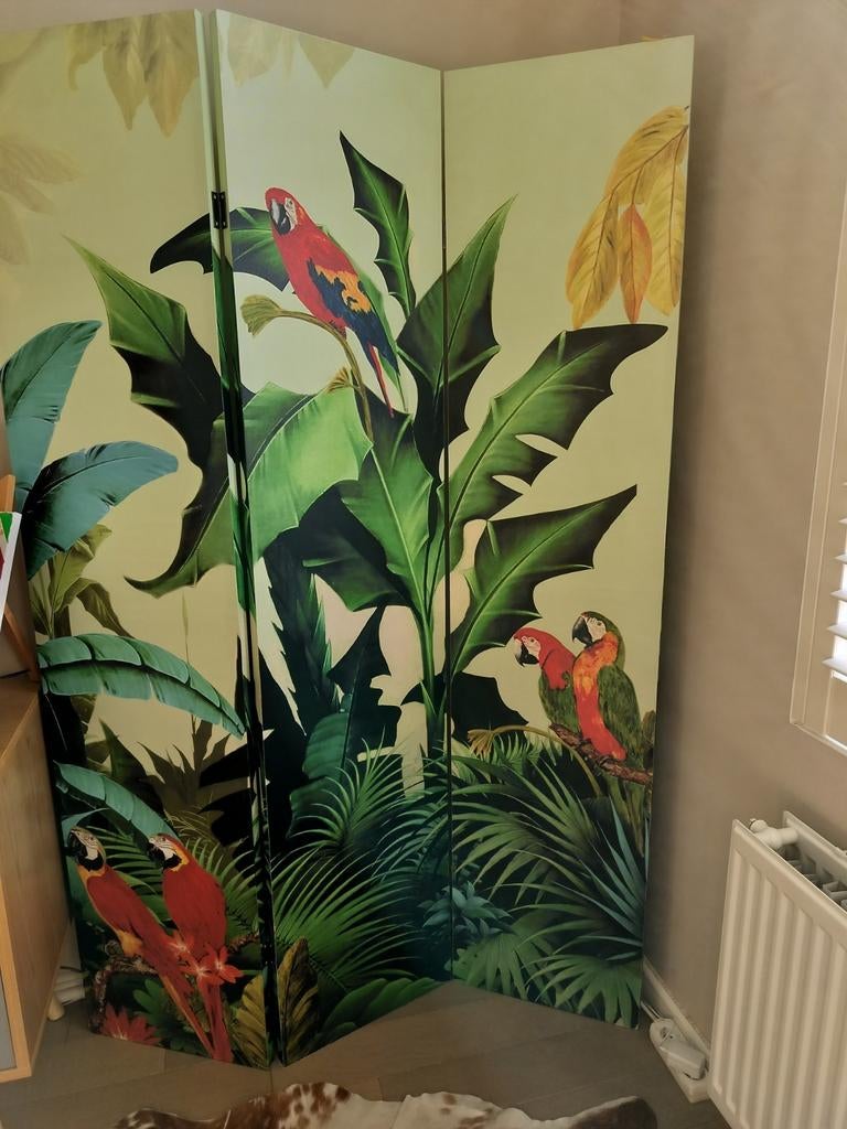 Le jungle est arrivé chez vous!, Enlèvement, Comme neuf