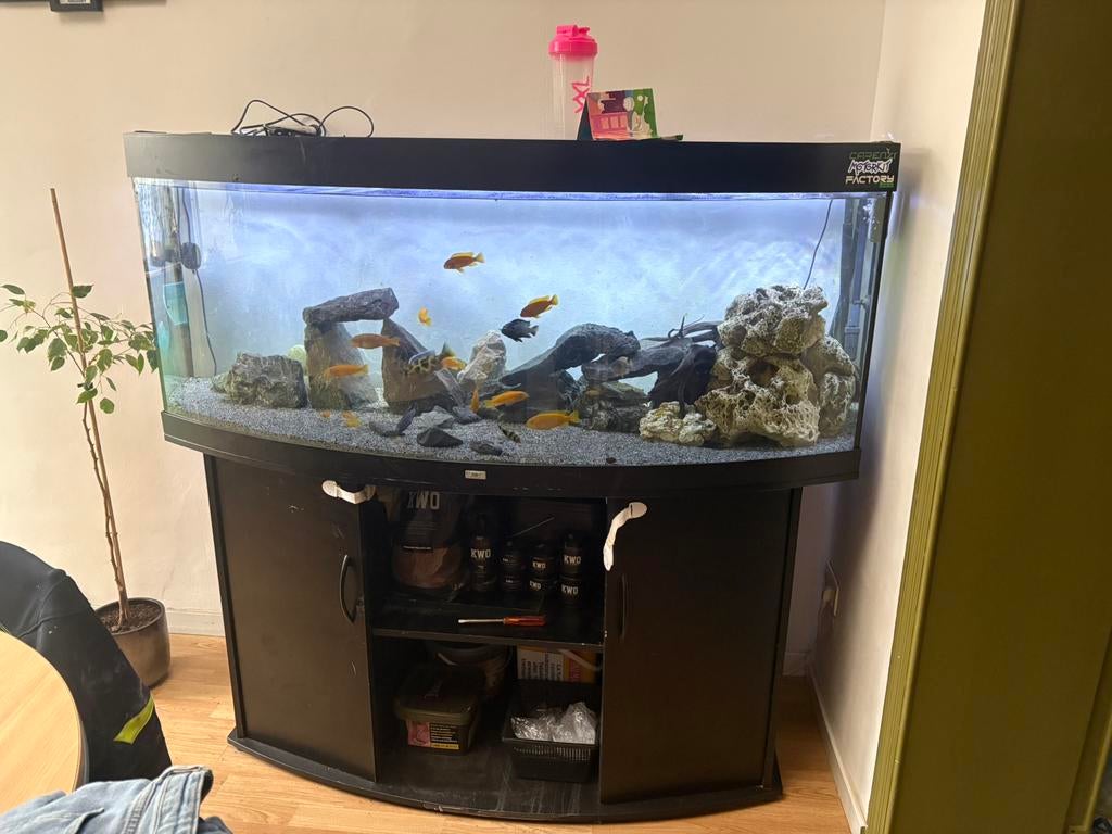 Panoramisch aquarium 150 cm bieden lees beschrijving, Dieren en Toebehoren, Ophalen, Gebruikt, Leeg aquarium