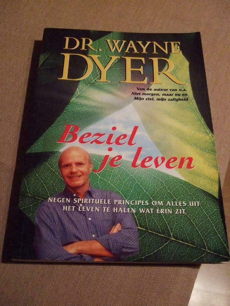 DR. WAYNE DYER : BEZIEL JE LEVEN, Spiritualiteit algemeen, Overige typen, Ophalen of Verzenden, Zo goed als nieuw