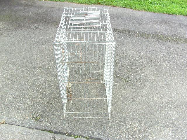 Cage solide perroquet ou autres Adam D, Enlèvement, Utilisé, Autres matériaux, Cage à oiseaux