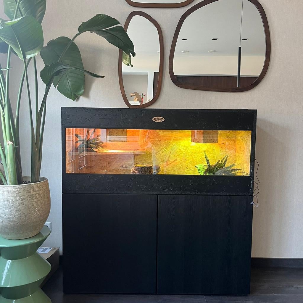 Osb3 terrarium RepHouSZ. Ook maatwerk, Enlèvement, Neuf, Terrarium ou Paludarium
