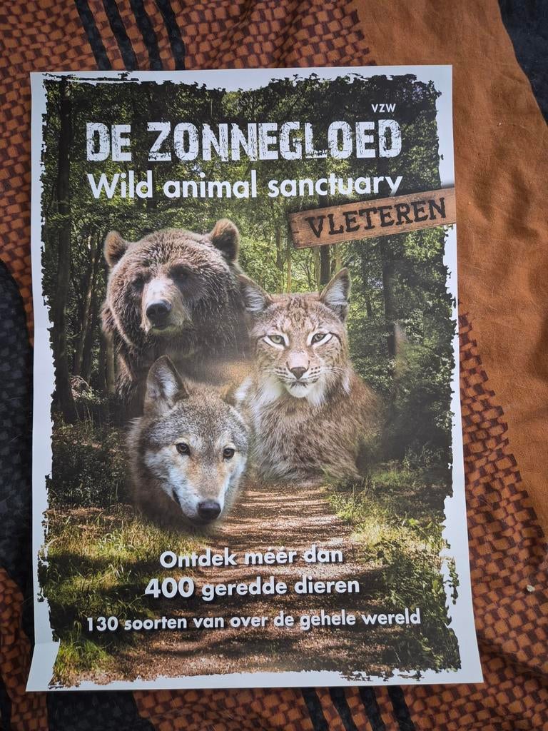 Poster affiche bruine beer wolf lynx, Verzenden