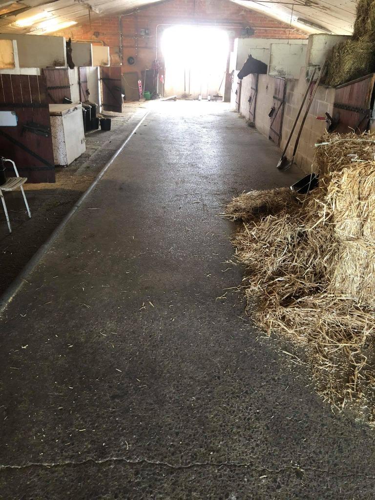 box pour chevaux dans un endroit convivial, Pâturage, 2 ou 3 chevaux ou poneys