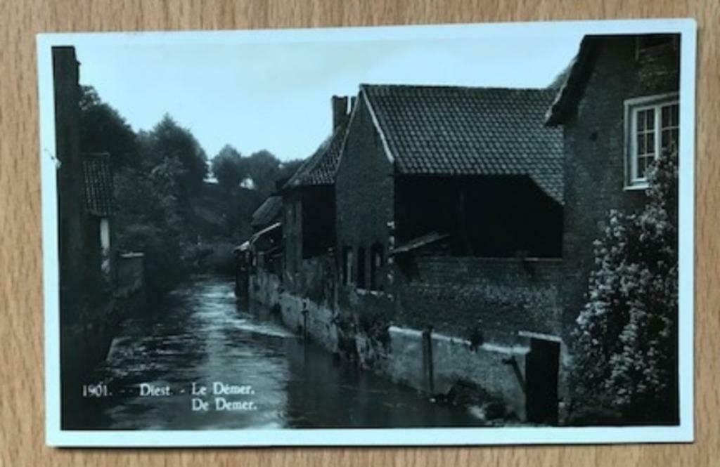 PRENTKAART DIEST - DE DEMER AAN DE KAAI - POSTKAART, Ophalen of Verzenden, 1960 tot 1980, Ongelopen, Vlaams-Brabant
