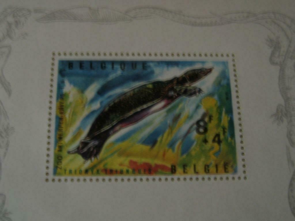 postzegel ZOO ANTWERPEN 1985, Postzegels en Munten, Ophalen of Verzenden