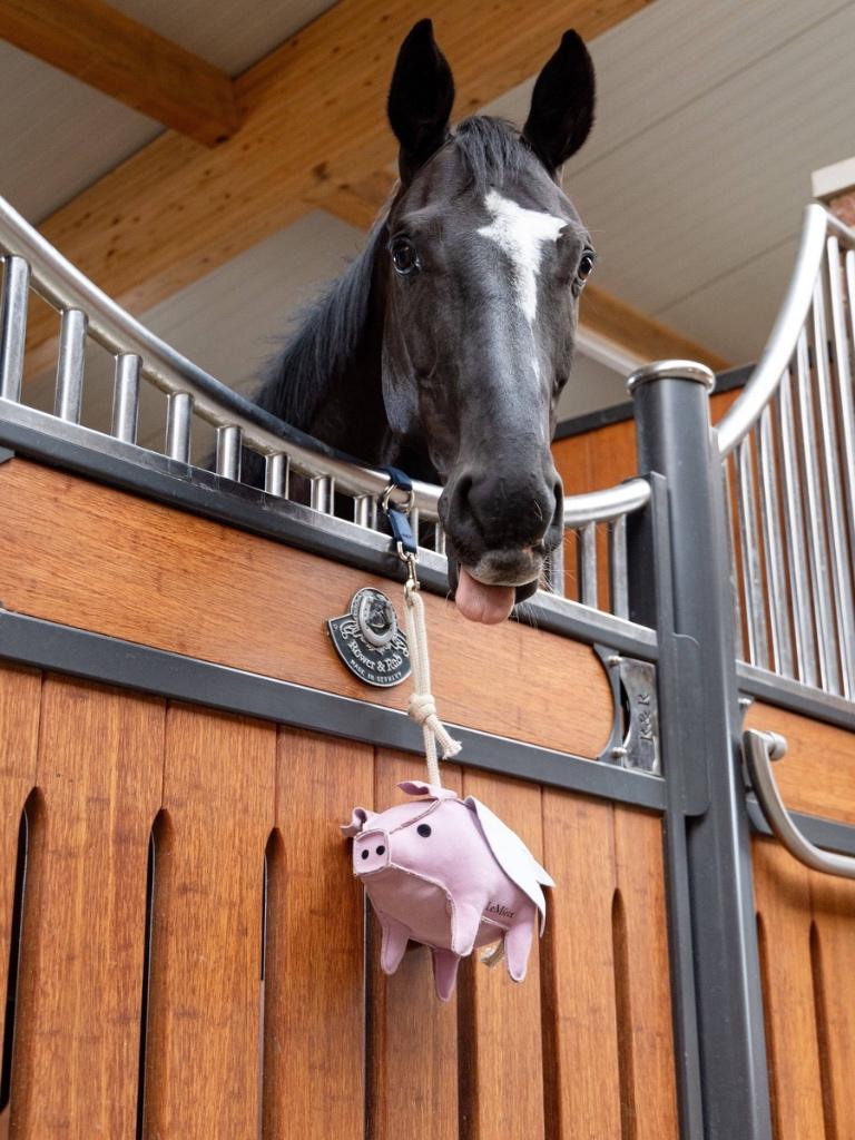 LeMieux Horse Toy Flying Pig Paarden speelgoed Varken SALE, Enlèvement ou Envoi, Neuf