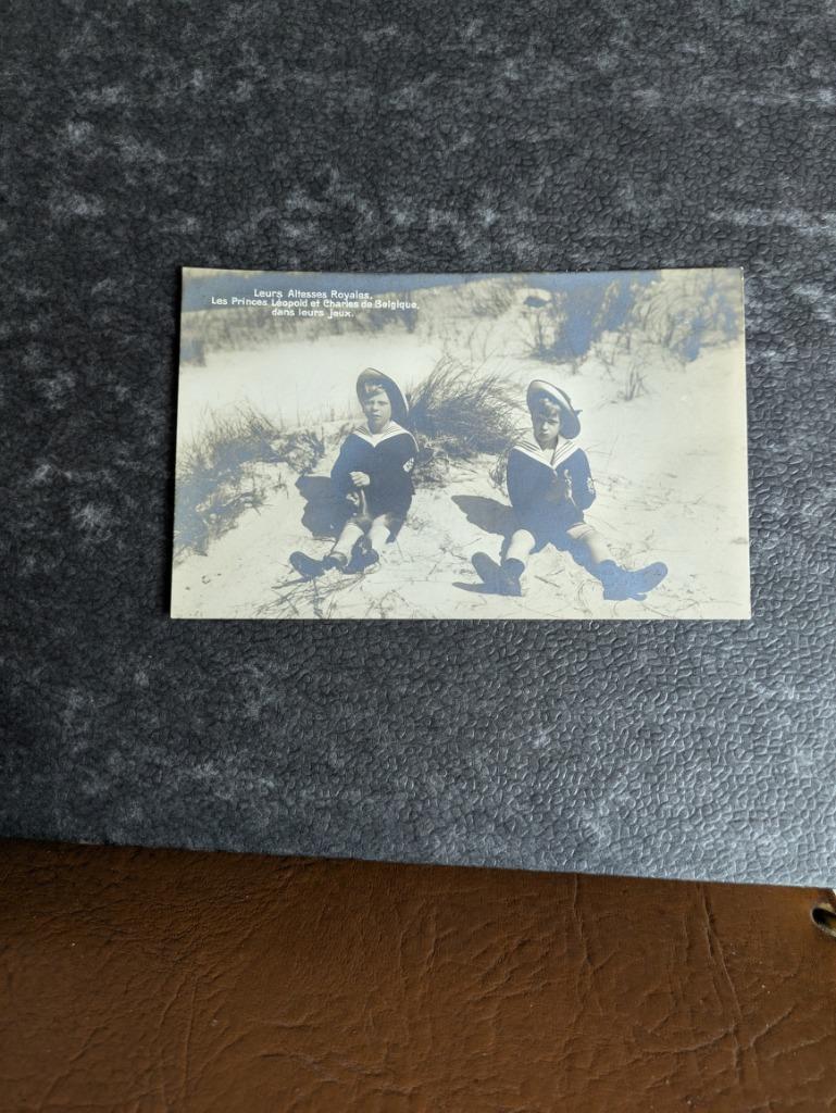 Prins Karel en prins Leopold, Enlèvement ou Envoi, Comme neuf, Carte, Photo ou Gravure