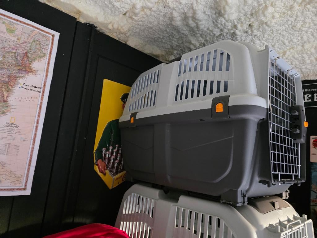 Transportbox kat of kleine hond, Ophalen, Zo goed als nieuw
