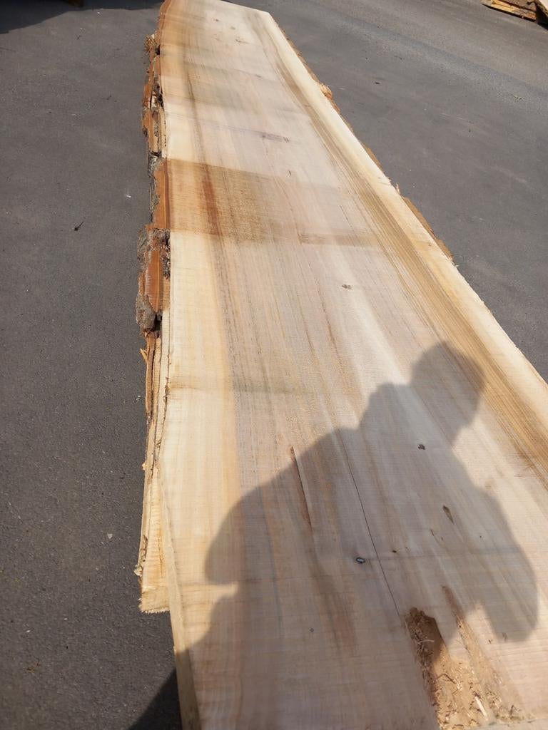 Boomstamtafels tafelbladen planken Wandplanken badkamer, Tuin en Terras, Ophalen, Nieuw, Planken