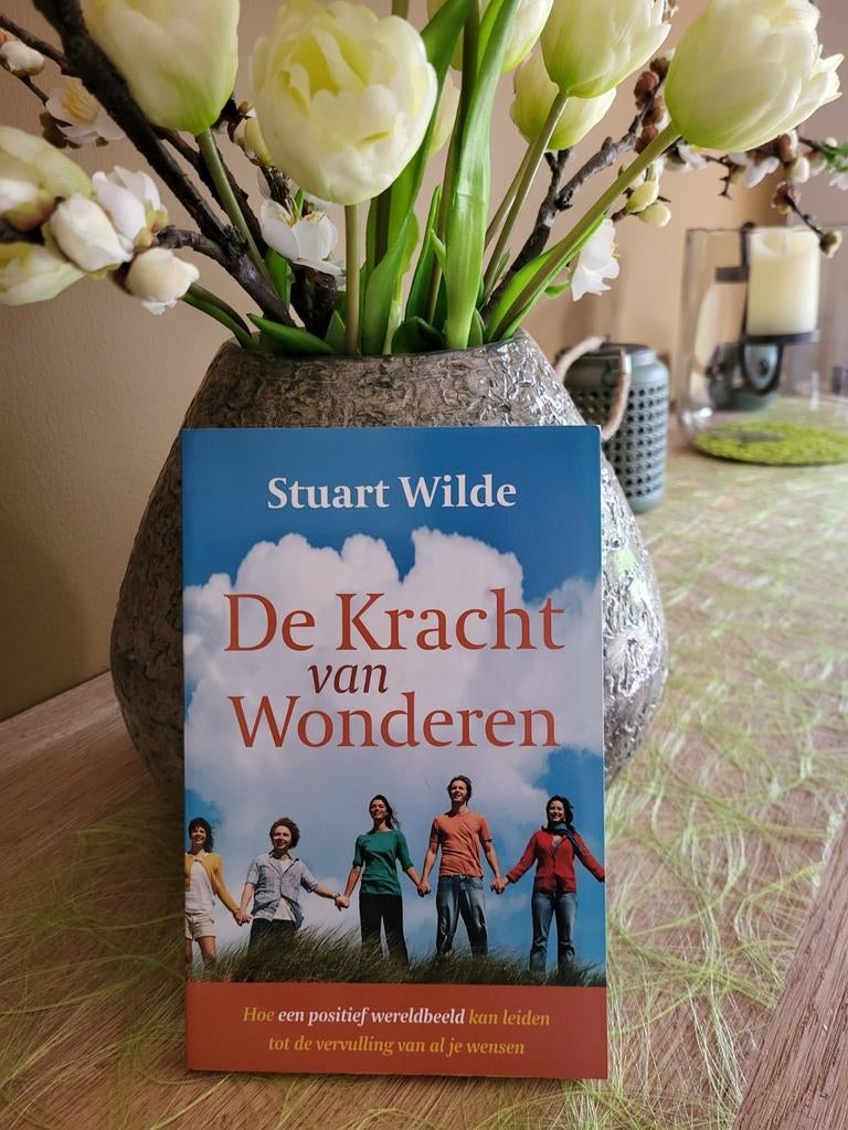 S. Wilde - De Kracht van Wonderen, Boeken, Esoterie en Spiritualiteit, Ophalen of Verzenden, S. Wilde