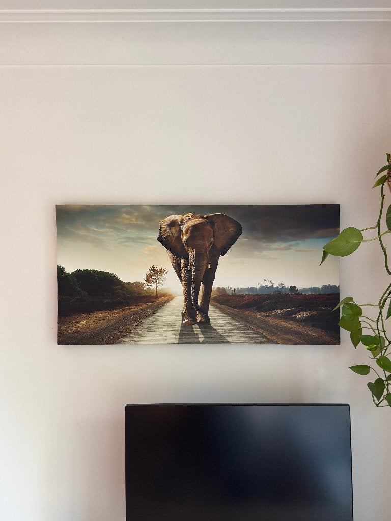 Olifant canvas 100x50cm, Antiquités & Art, Art | Peinture | Moderne, Enlèvement, Autres matériaux, Impression, Animaux