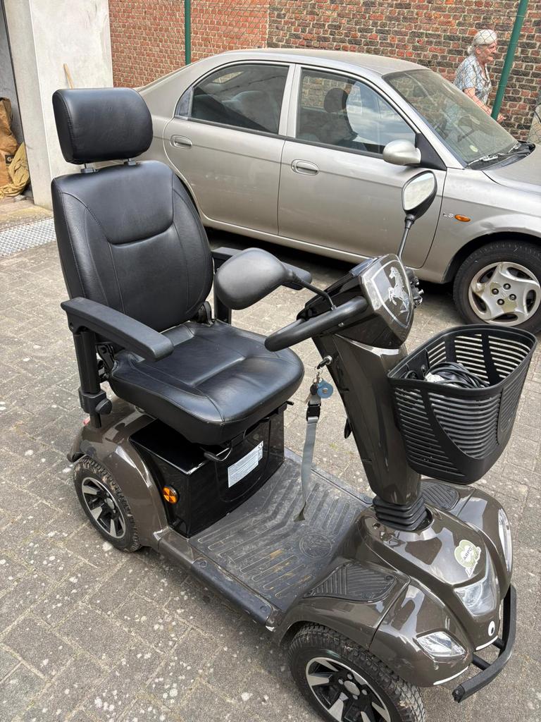 Trottinette mobile L4- Carpo, Divers, Voitures sans permis & Scooters pour invalides, Enlèvement, Utilisé, 16 à 25 km, 16 km/h ou plus