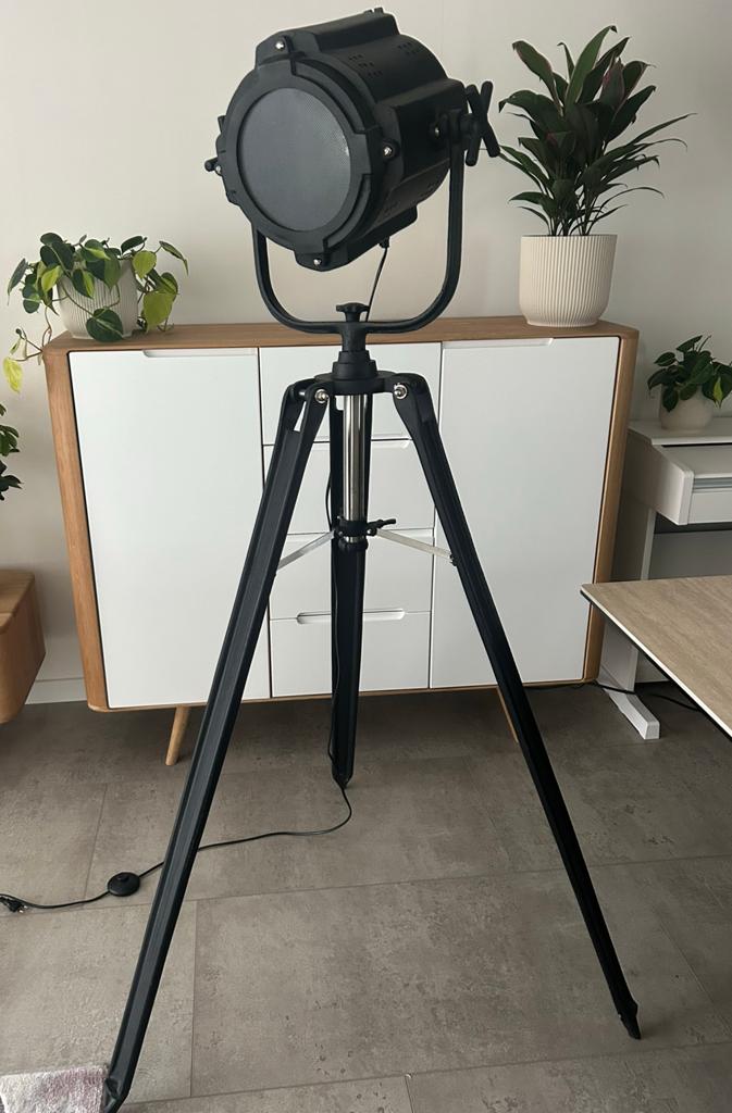 Industriële Staande Lamp Zwart, Ophalen, Zo goed als nieuw