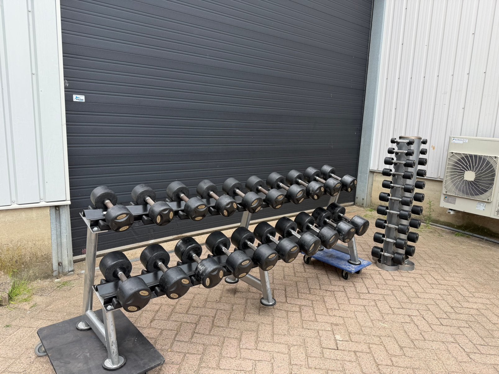 Lifemaxx Vaste Dumbells 1kg t/m 30kg + Dumbells Rekken, Ophalen, Gebruikt, Dumbbell
