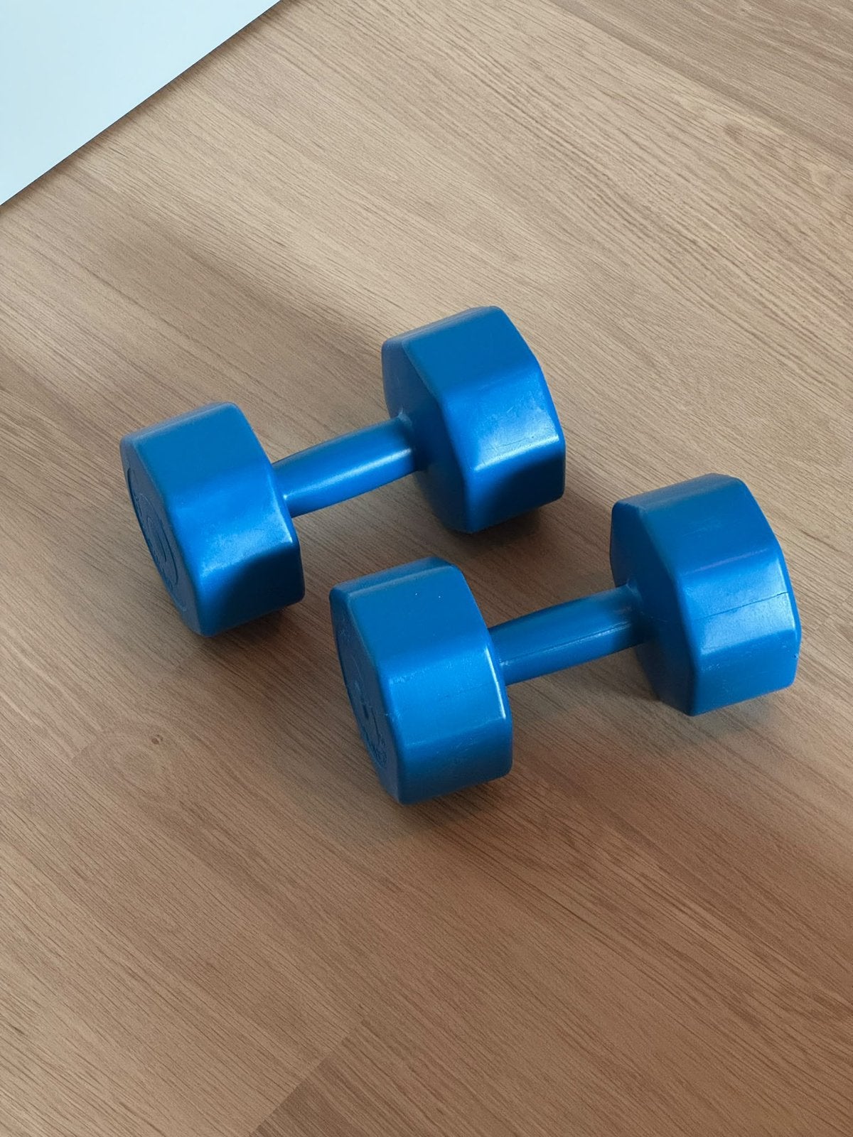 2x 5kg gewichten, Sports & Fitness, Enlèvement, Comme neuf, Haltère
