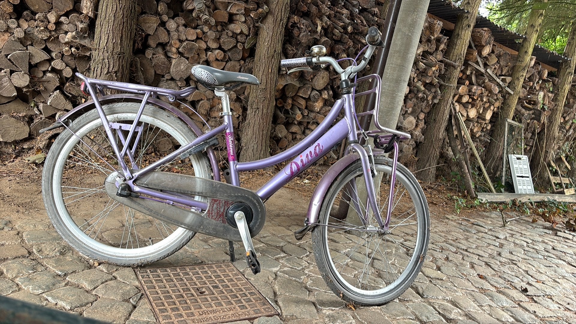 Vélo Batavius pour fille, Vélos & Vélomoteurs, Enlèvement, Utilisé, 24 pouces, Frein à main
