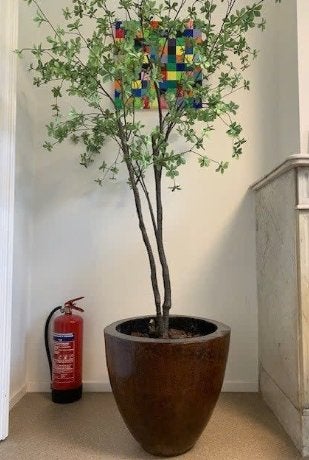 Pot de fleurs indonésien en ébène, 40 cm ou plus, 40 à 70 cm, Rond, Enlèvement