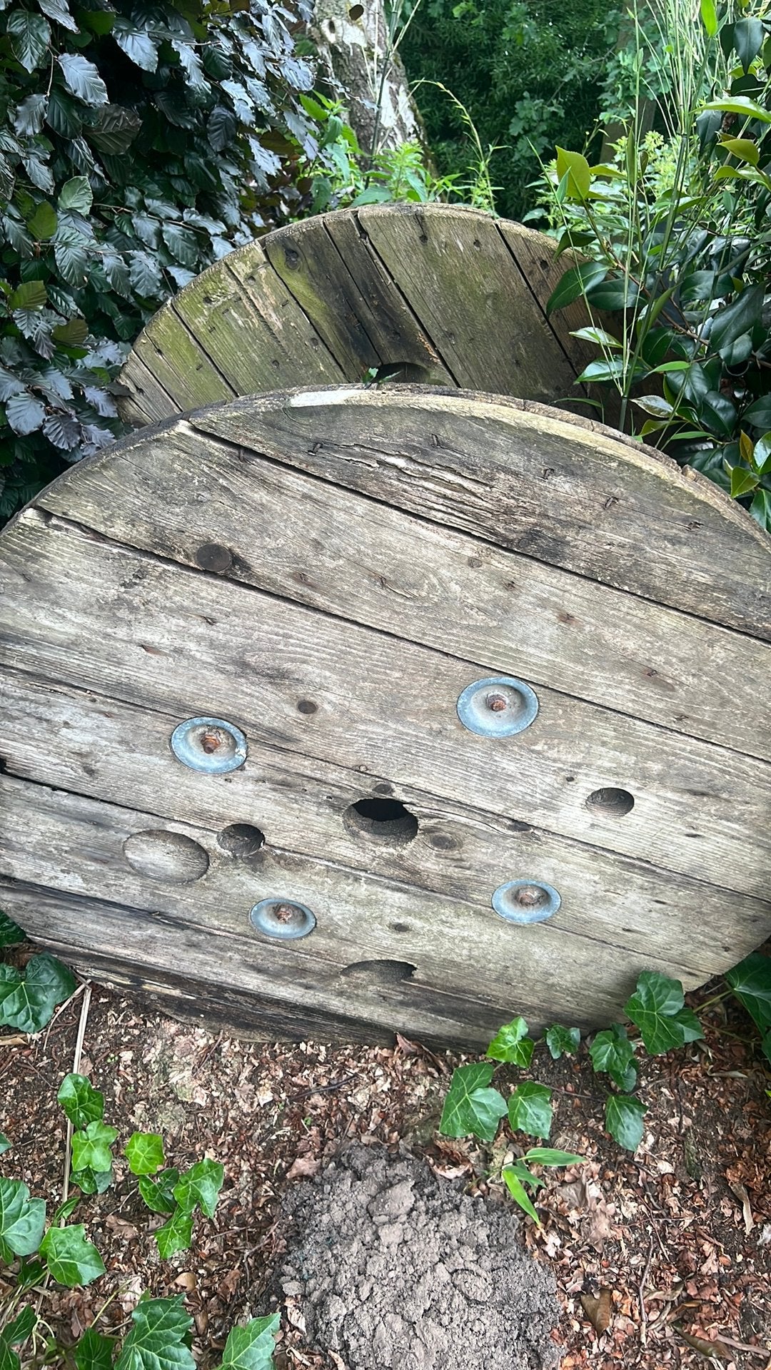 Bartafel, Enlèvement, Utilisé
