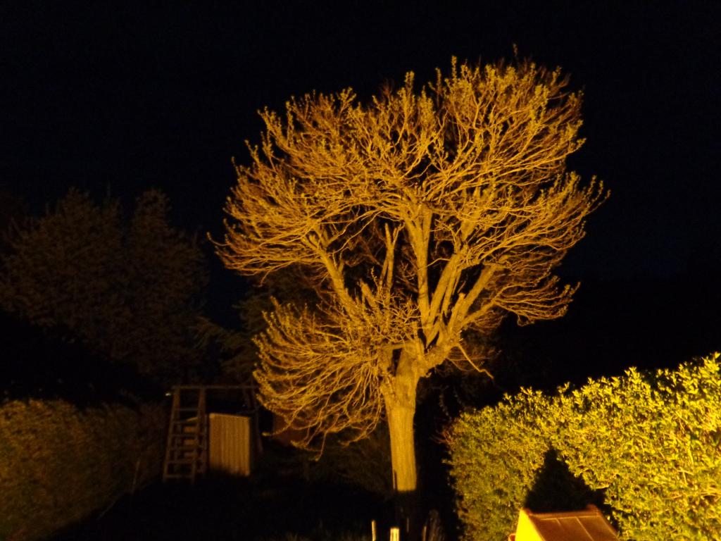 boîtiers lumineux avec lampes à haute pression au sodium, Enlèvement, Comme neuf