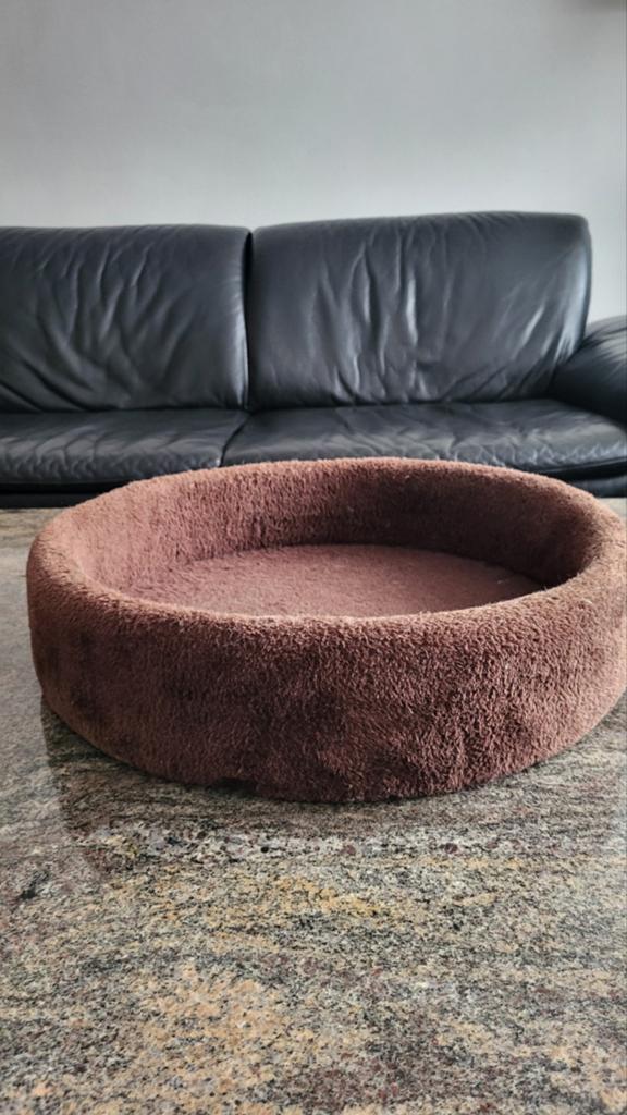 Lit pour chat/lit pour chat, Animaux & Accessoires, Enlèvement ou Envoi