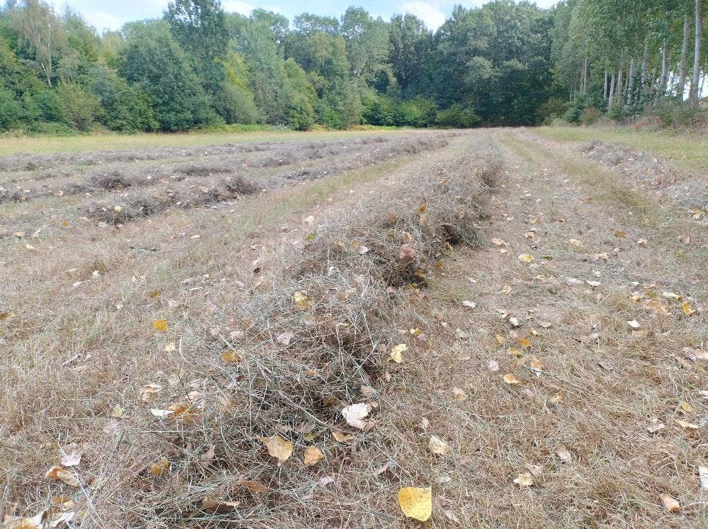 Voordroog 2e keus, midibalen, hooibalen, Ophalen