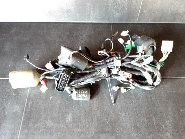 NT650V 1998 - 2001 Honda Kabelboom Kabelboom hoofd D1-55538