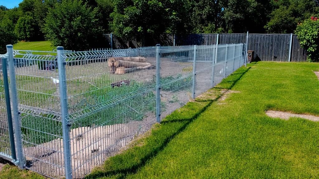 Promo! 20m draadpanelen 200cm hoog galva + palen, Tuin en Terras, Ophalen, Nieuw