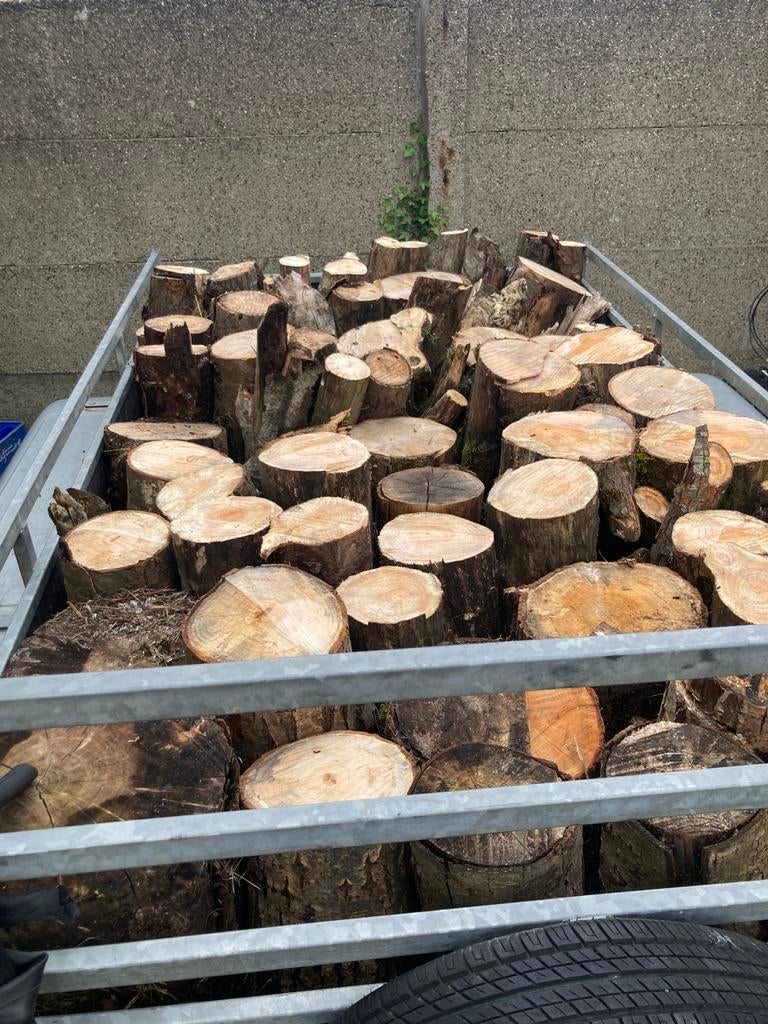 Brandhout, Tuin en Terras, Ophalen