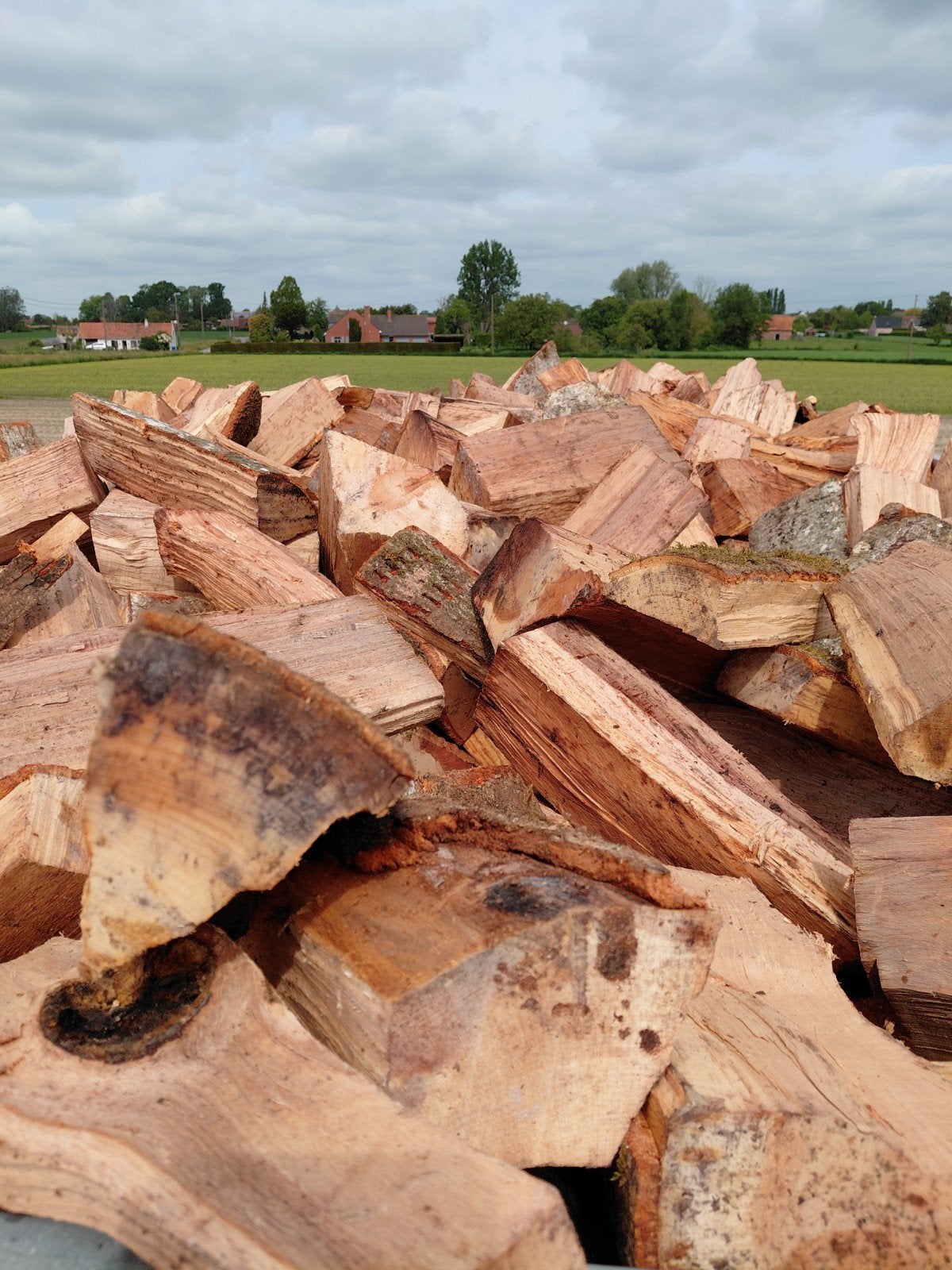 Brandhout te koop, Tuin en Terras, Brandhout, Ophalen of Verzenden