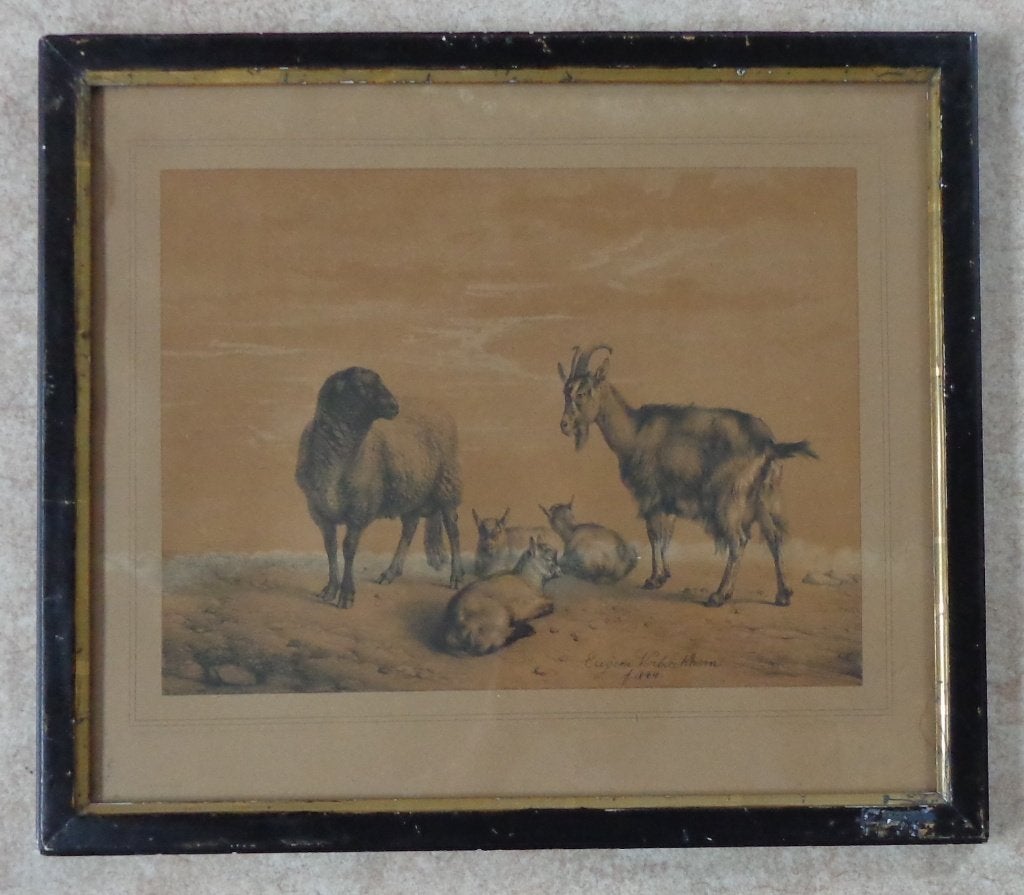 EUGENE VERBOECKHOVEN / GEITEN & SCHAAP / LITHO 44x50cm KADER, Ingelijst, 1800 - 1899, Ophalen of Verzenden, Flora en Fauna