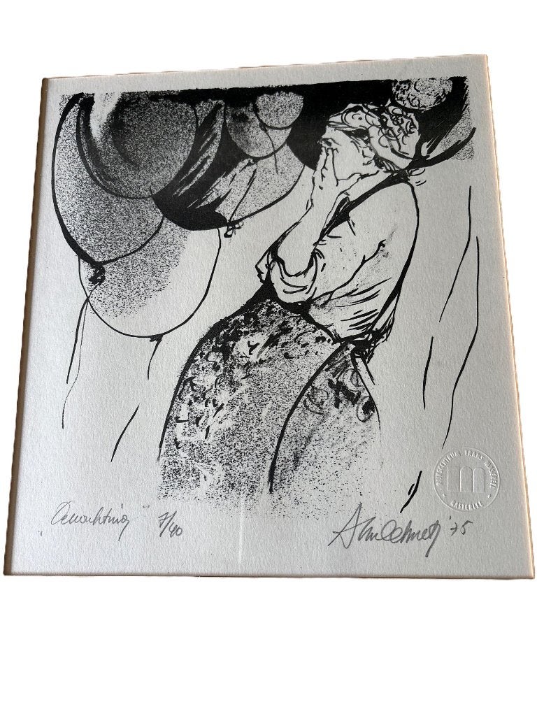 Lithographie encadrée d'Annemie De Smet, Maison & Meubles, Accessoires pour la Maison | Cadres, Moins de 50 cm, Comme neuf, Enlèvement