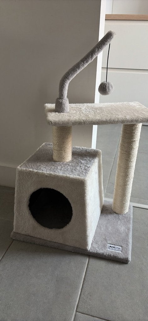 Griffoir, Animaux & Accessoires, Enlèvement, Neuf