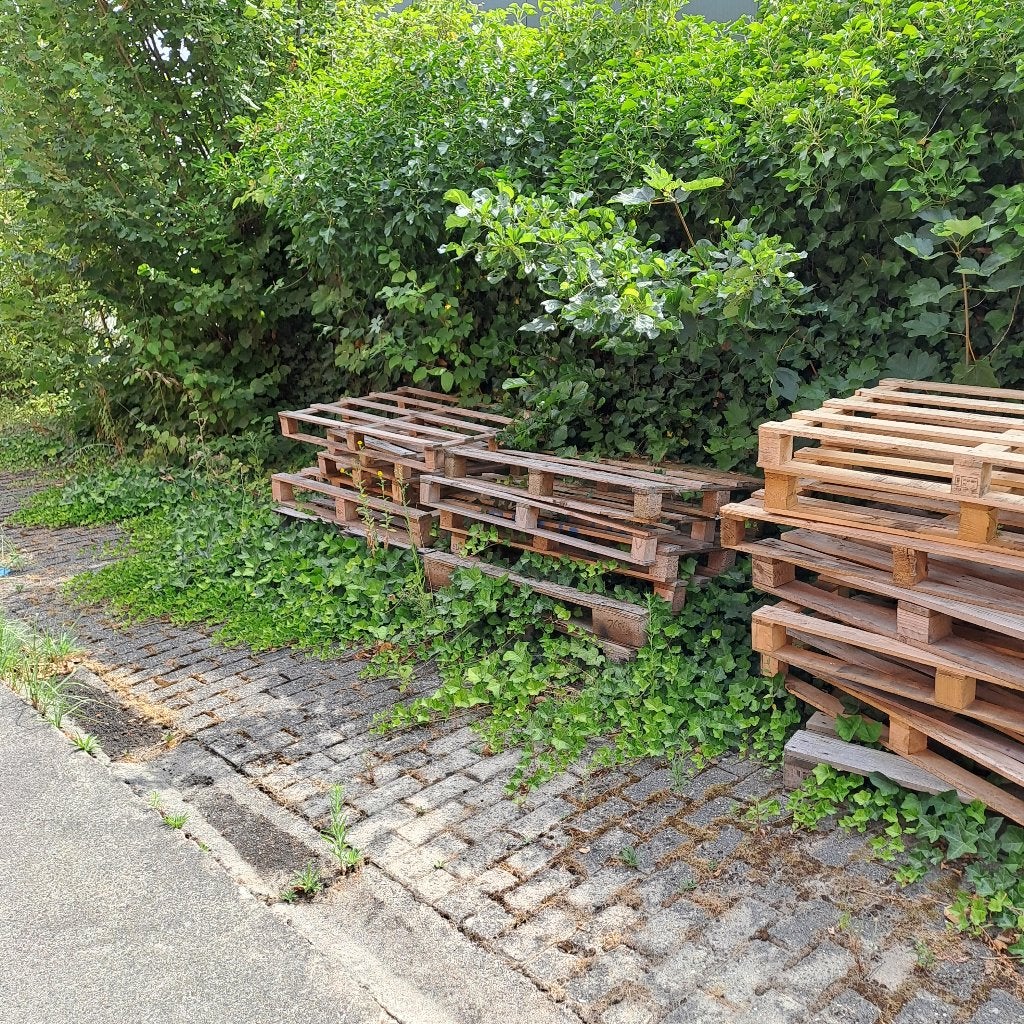 paletten, Tuin en Terras, Brandhout, Ophalen