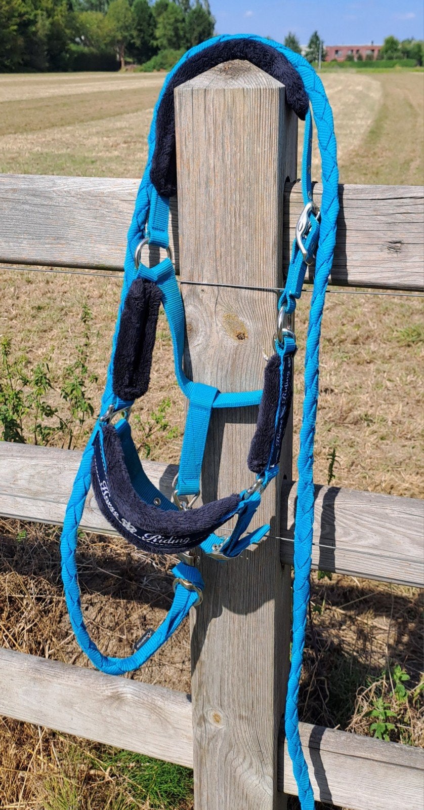 halster + touw blauw, maat pony, Dieren en Toebehoren, Ophalen, Blauw, Halster, Pony