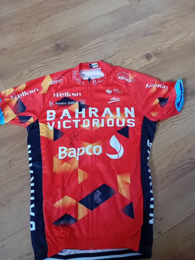 Maillot de cyclisme Bahrain, WOUT POELS, Enlèvement ou Envoi, Comme neuf, Vêtements