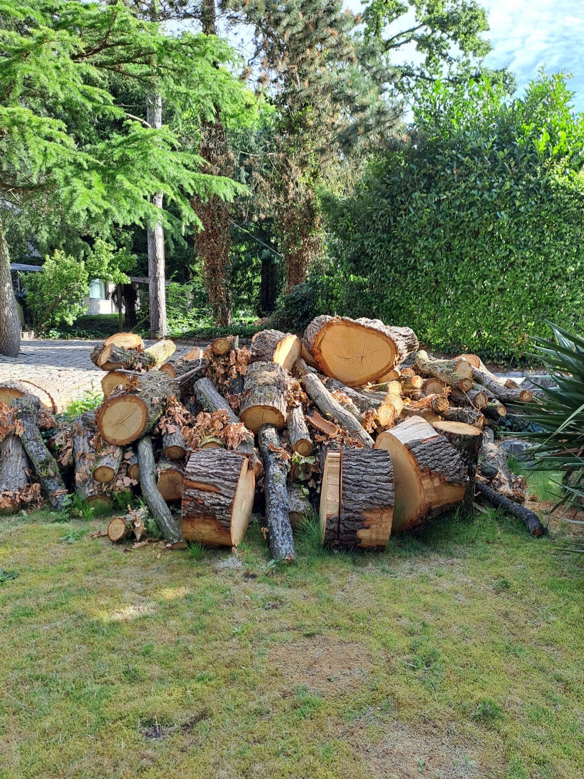 Eiken brandhout, Tuin en Terras, Ophalen