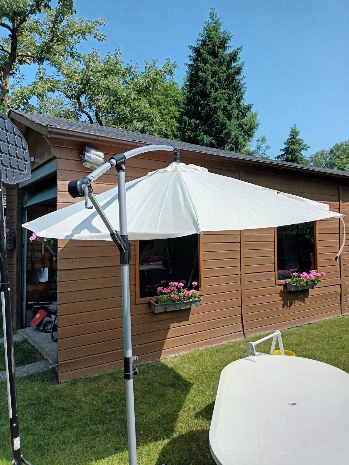 Tekoop hangparasol, Enlèvement