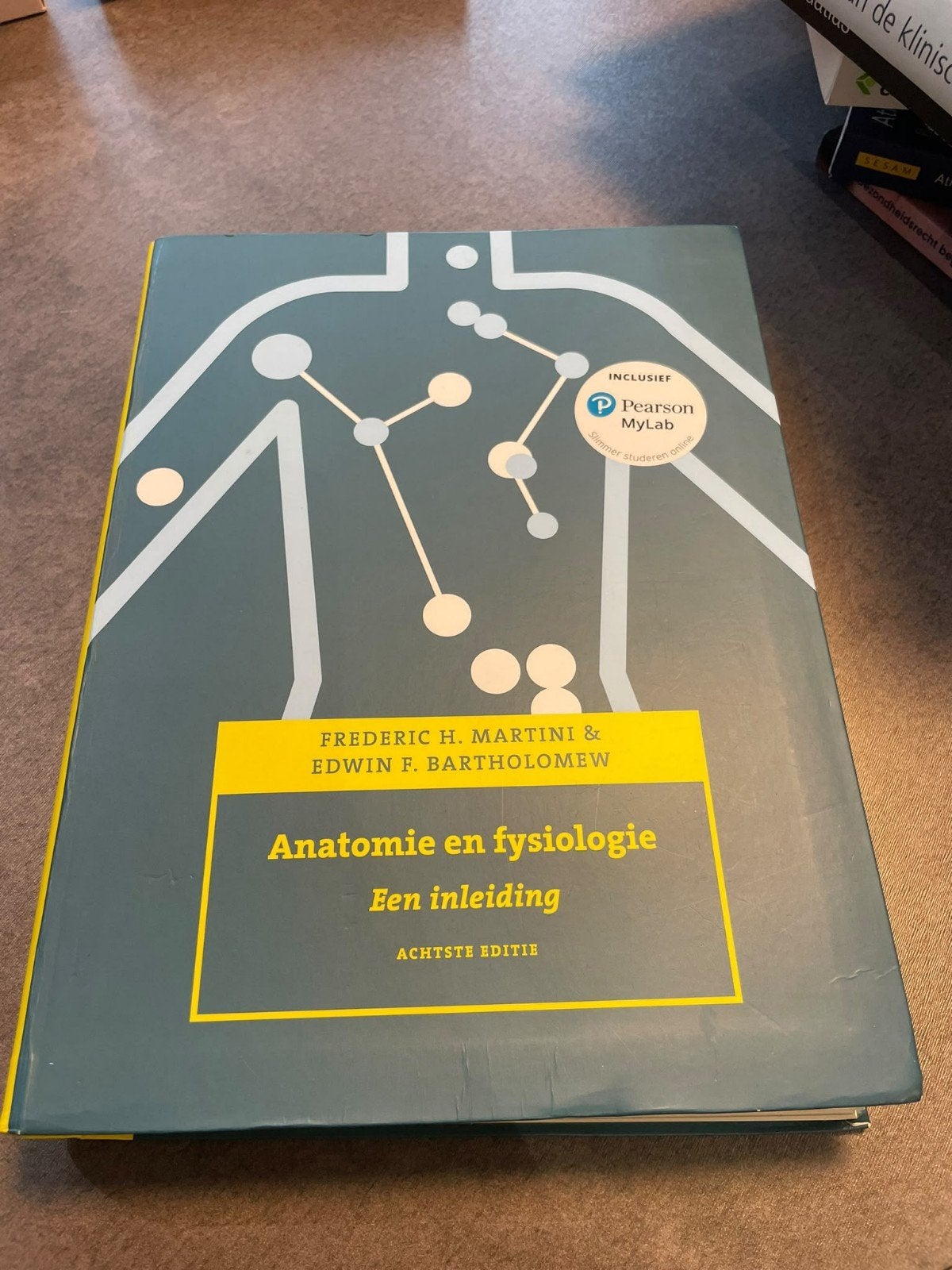 Anatomie en fysiologie, 8e editie met MyLab NL, Boeken, Ophalen of Verzenden, Nederlands, Frederic H. Martini; Edwin F. Bartholomew
