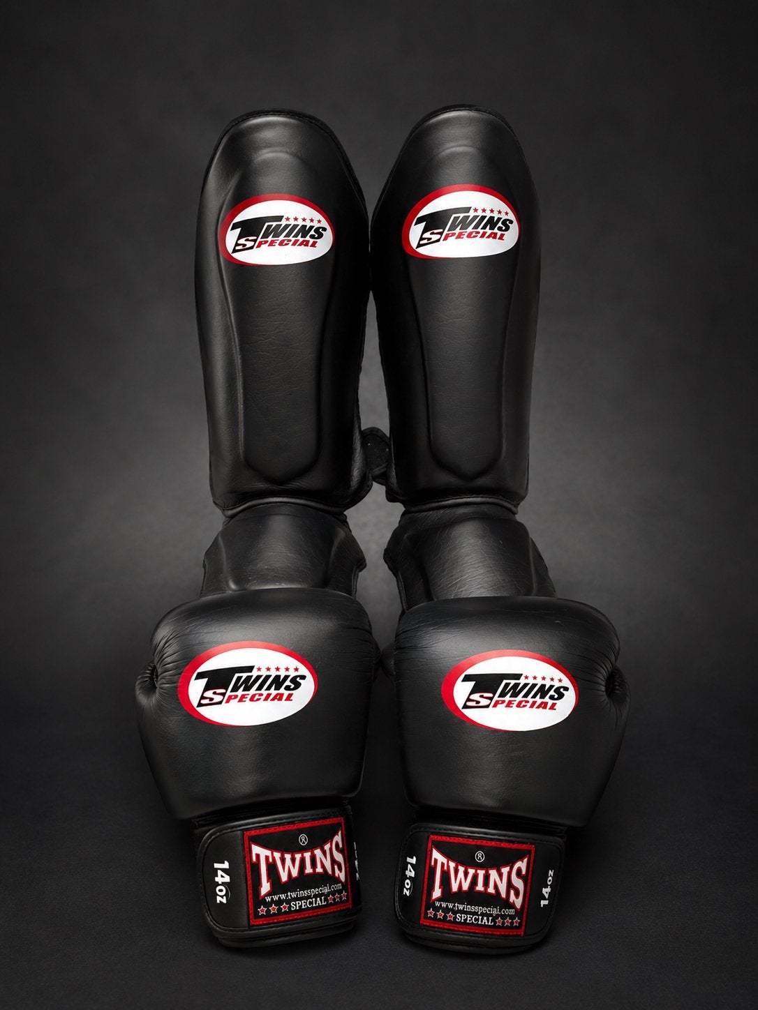 Ensemble boxe TWINS SPECIAL – Gants + Protège-tibias, Enlèvement, Utilisé, Gants de boxe