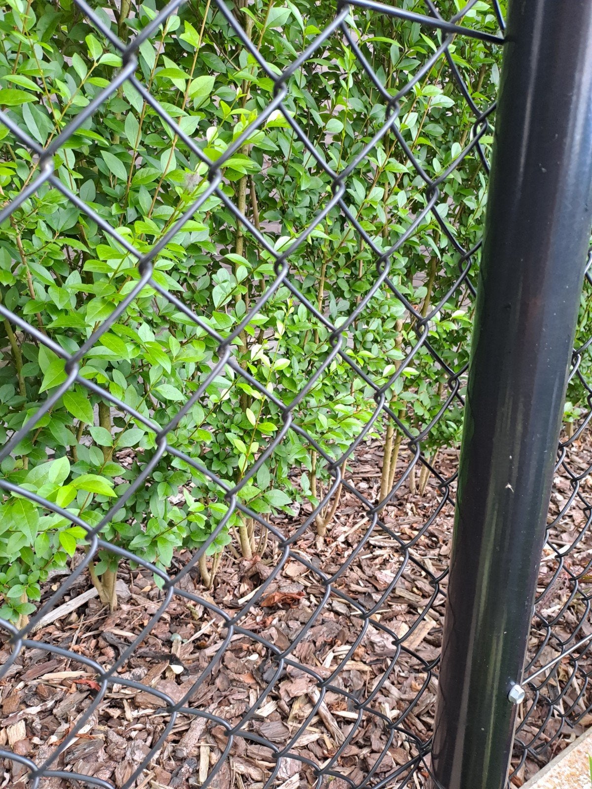 Gezocht restje zwarte tennisdraad, Tuin en Terras, Gaas en Draad, Ophalen, Draad
