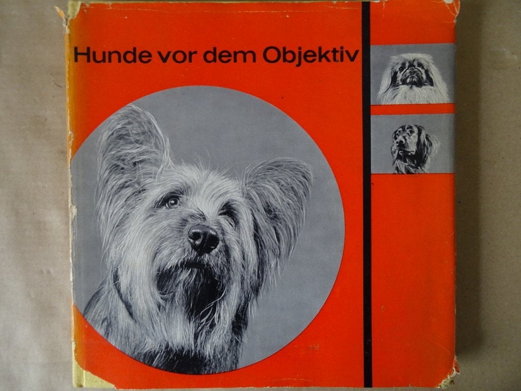 Jan Styczynski Hunde vor dem Objectiv fotoboek honden 1963, Boeken, Kunst en Cultuur | Fotografie en Design, Ophalen of Verzenden