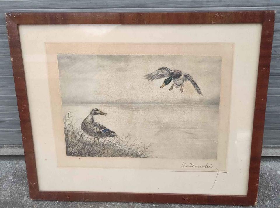 Gravure canard signe Léon danchin, Ophalen of Verzenden, Gravure