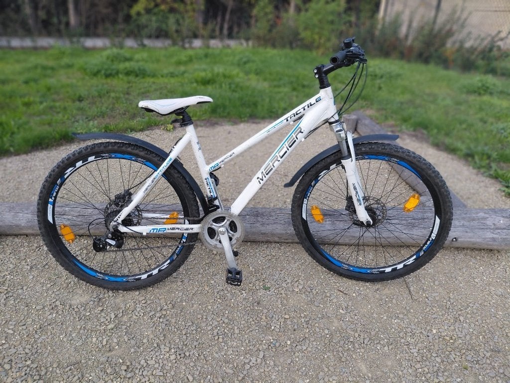 Mountainbike (26 inch) (+-10j tot 15j), Gebruikt, Heren, Schijfrem, Ophalen