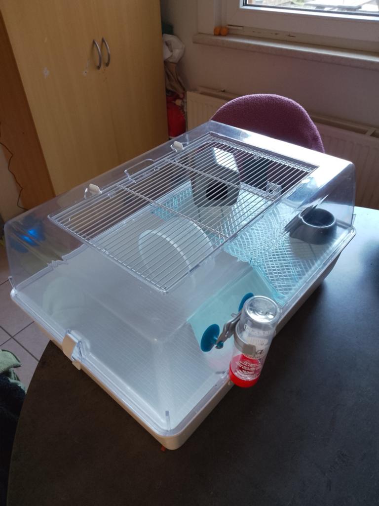 Hamsterkooi, Enlèvement, Hamster